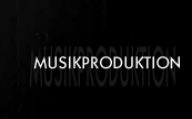 Musikproduzent IM TONSTUDIO SUNLINE SOUND PRAG